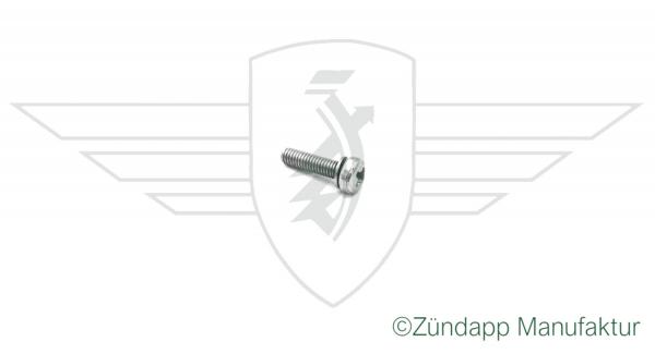 Fixing screw original